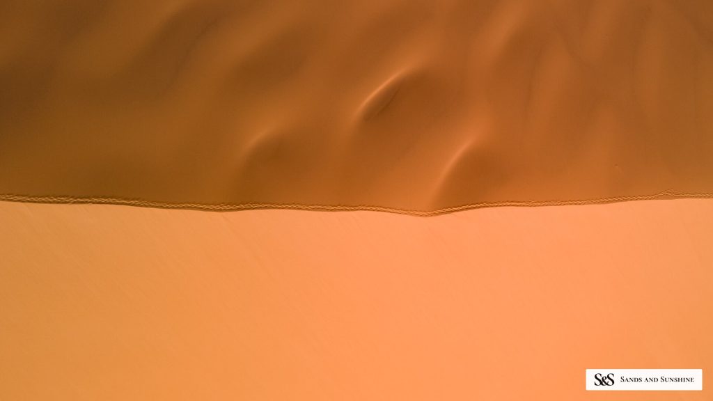 Abstract dune crest dividing light and shadow, Namibia