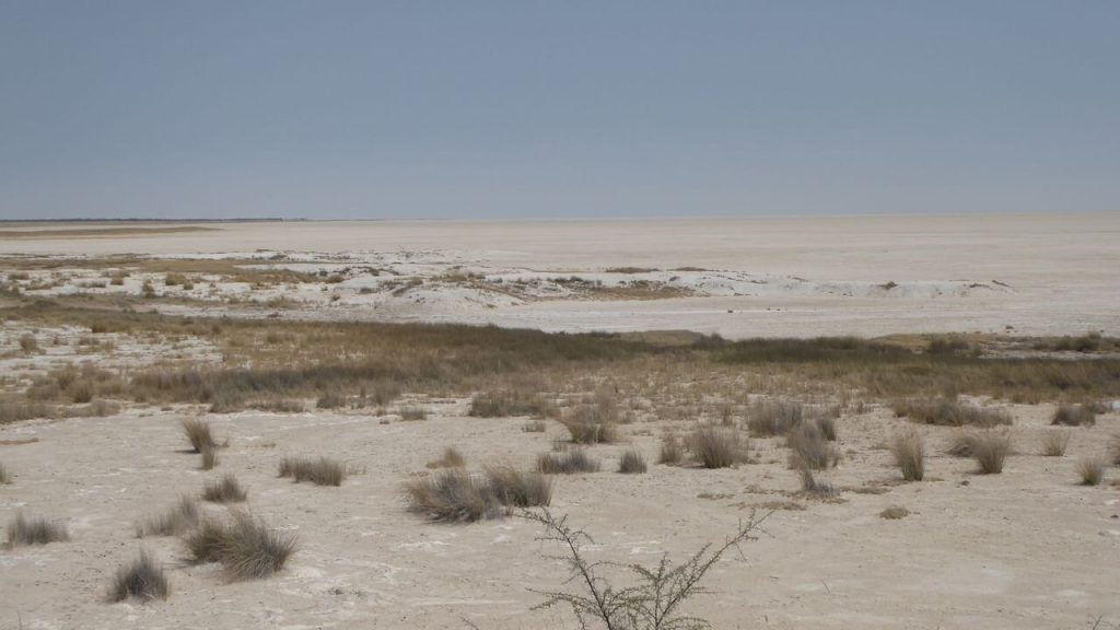 Blinding white salt pan horizon with grass tufts, Namibia