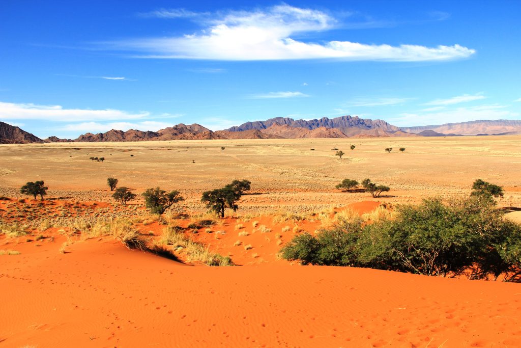 Camelthorn plain and mountains seen from dune, Namibia