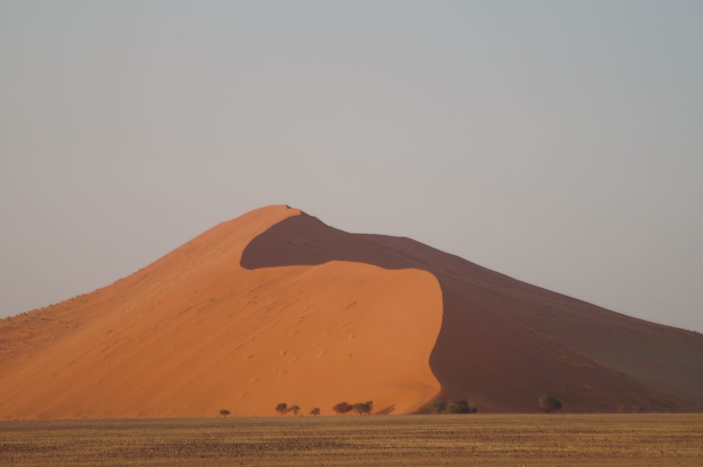 Curving dune crest shadow above a gravel plain, Namibia