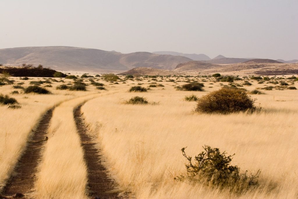 A pair of sandy wheel tracks curving through tall golden grass and scattered scrub on a Damaraland plain, with hazy rocky hills along the horizon