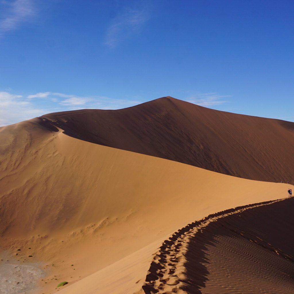 Footprint trail along shadowed dune crest, Namibia