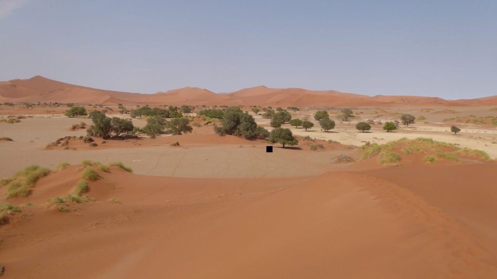 High view over pale clay pan ringed by camelthorn trees, Namibia