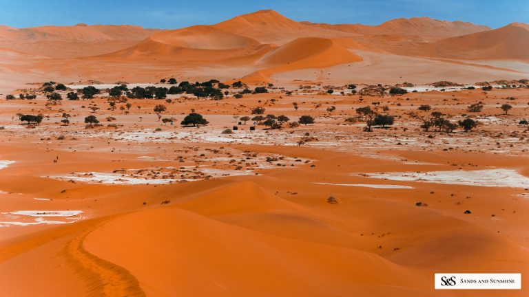 Red Namib dune with a shadowed slipface at dawn