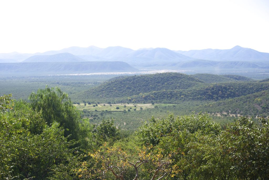 A broad green wooded valley in Kaokoland near Opuwo, with a cultivated clearing in the middle distance and layered hazy mountain ranges beyond