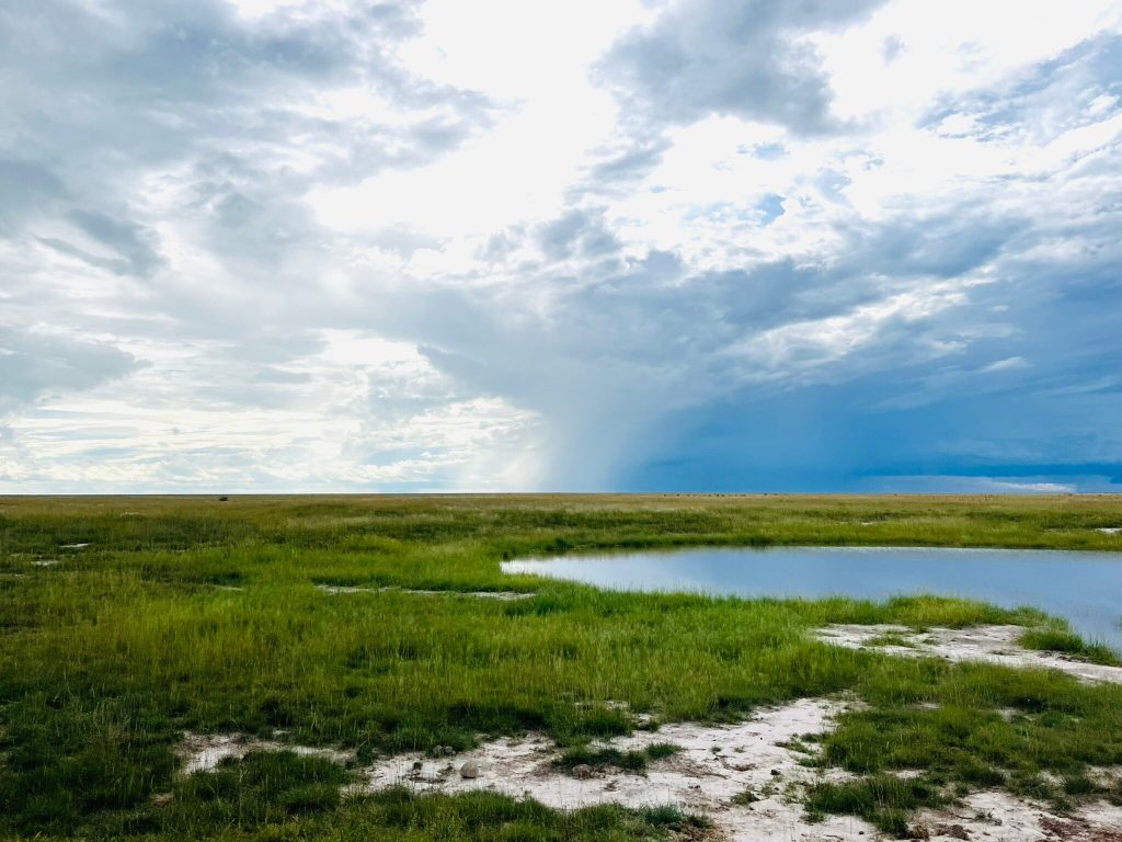 Rain shower falling over the flooded Etosha pan, Namibia