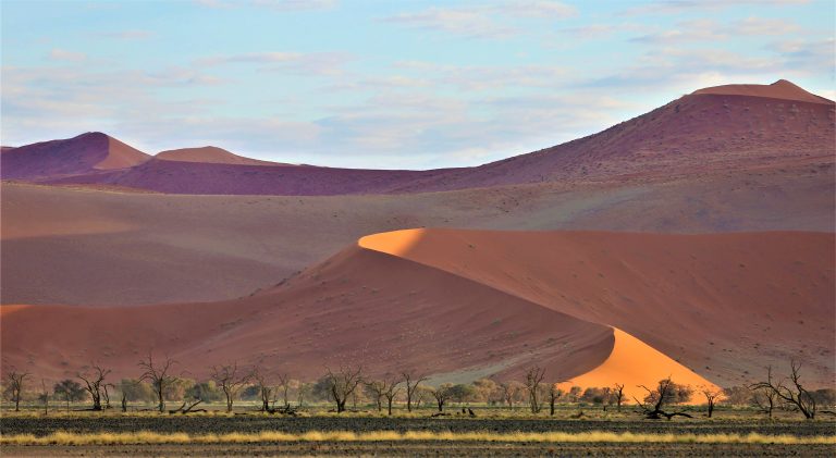 7 Day Namibia Highlights Safari