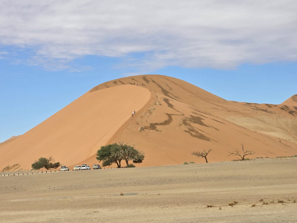 Red dune with climbers on crest above parked 4x4s, Namibia