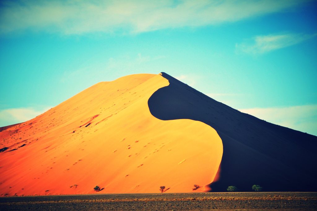 Sunlit dune crest with curving shadow, Namibia