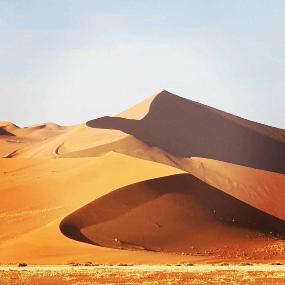 Sunlit dune crest with deep shadowed slipface, Namibia