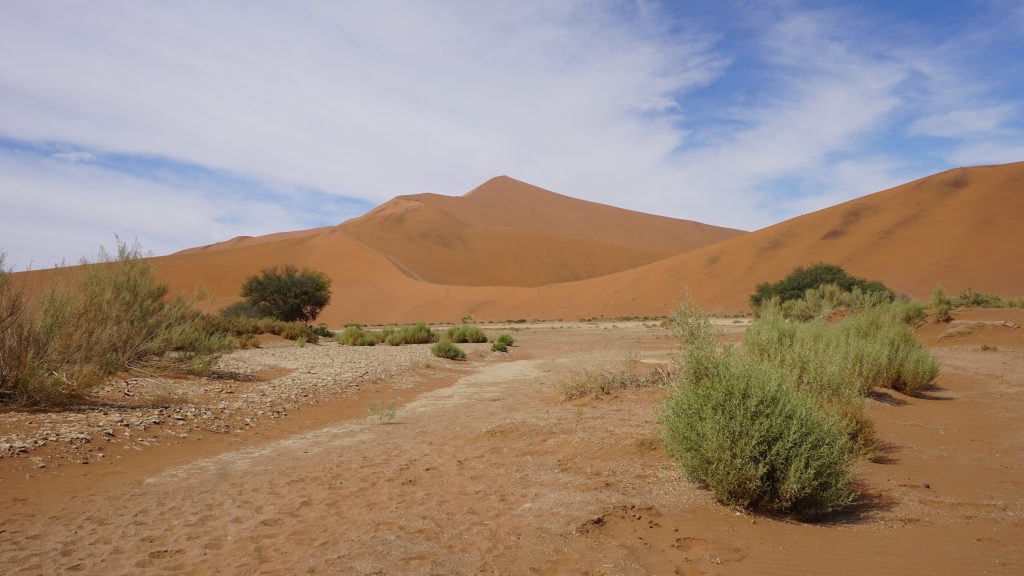 Tall red dune above green scrub and dry watercourse, Namibia