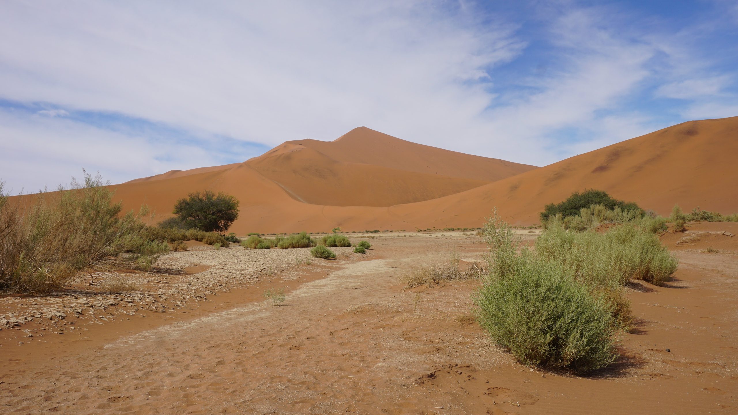 6 Day Sossusvlei Swakopmund And Damaraland Tour