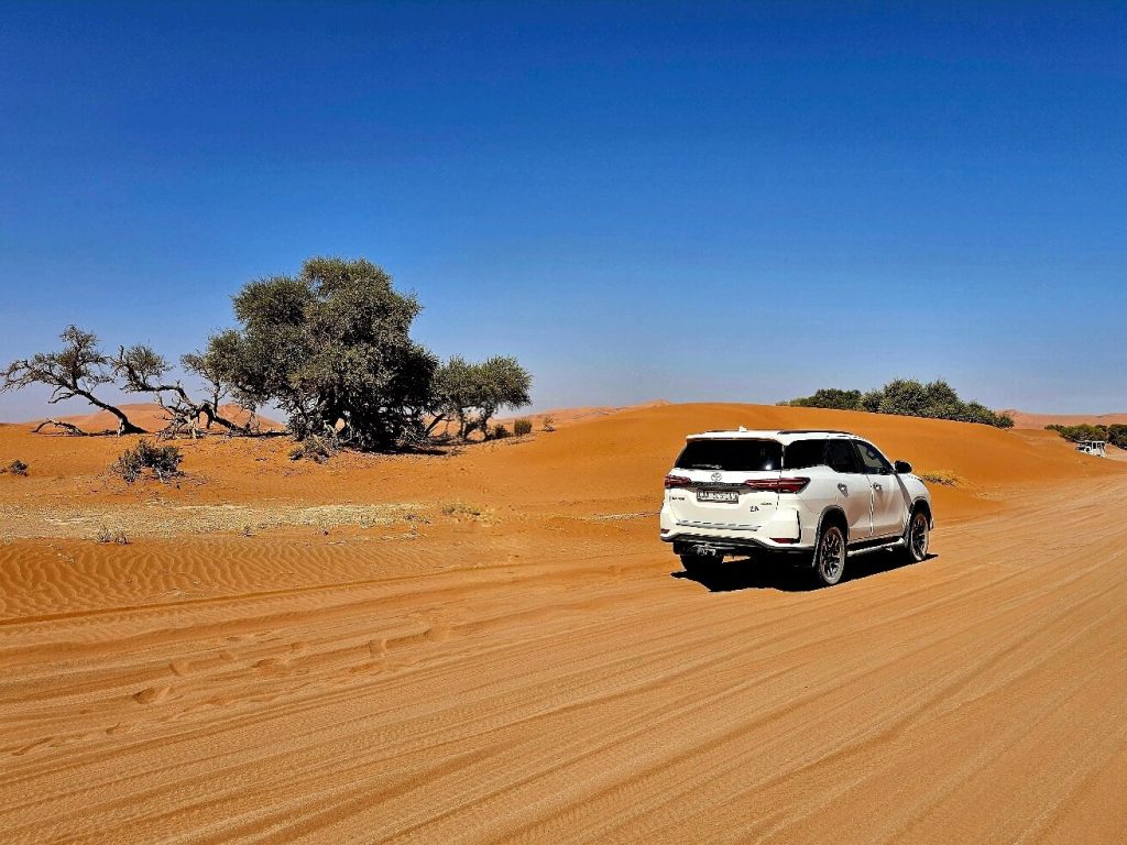 White 4x4 on red sand track past camelthorn trees, Namibia