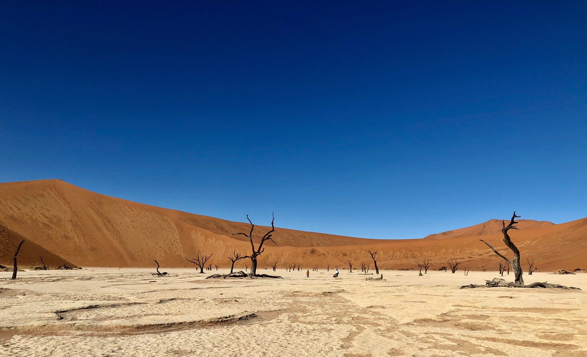 8 Day Classic Namibia Safari